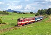 Verbrennungstriebwagen und -züge