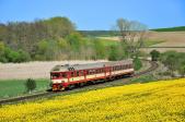 Řada 854