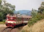 Verbrennungstriebwagen und -züge