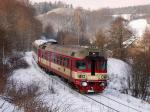 Diesel multiple units and railcars