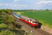 Verbrennungstriebwagen und -züge
