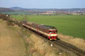 Diesel multiple units and railcars