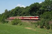 Verbrennungstriebwagen und -züge