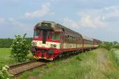 Verbrennungstriebwagen und -züge