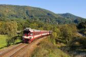 Verbrennungstriebwagen und -züge