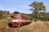 Verbrennungstriebwagen und -züge