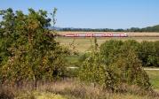 Řada 951 SK