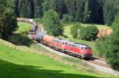 225.028 + 225.024