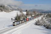 Zahraniční vozidla