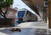 Siesta v Palermu