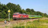 Foreign railway vehicles