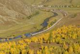 Mongolsko (MGL)