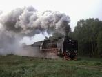 Pt 47-65
