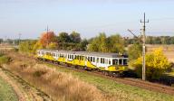 Foreign railway vehicles