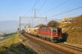 Re 4/4 II 11289