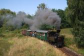 Steam locomotives