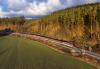 350.001-4, Valašské Meziříčí - Brňov, foto: Duhy
