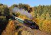 464.102, Hl. Merkovka hláska - Řevničov, foto: Petr Holub