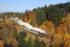 464.202, Domašov nad Bystřicí - Hl. Jívová, foto: Petr Holub