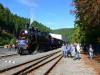 Parní vlak ve Vojkovicích, foto: Michal Skala - Konzultační dopravní společnost