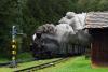 Parní lokomotiva U 37.002 na jindřichohradecké úzkokolejce, foto: Raven