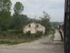 Stagove, foto: tomsa0397