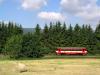 810.564-5, Žacléř, foto: Trainmaniak