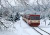 810.054, Mikulov-Nové Město - Moldava v Krušných horách, foto: Karel Málek